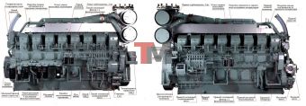 Дизельный генератор ТСС АД-1520С-Т400-1РМ8
