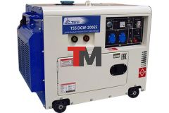 Дизельный сварочный генератор TSS DGW-200ES