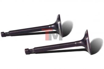 Комплект клапанов двигателя Honda GX270